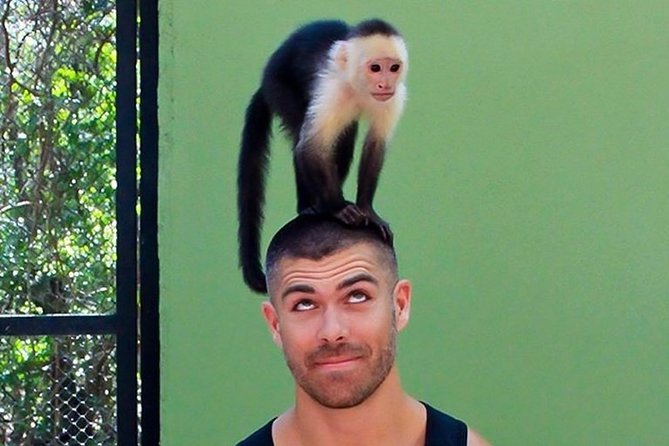 Akumal Monkey Sanctuary - Choosing the right time and the right group
