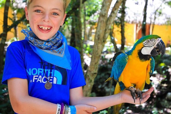 Akumal Monkey Sanctuary - Transport, timing, and small practical matters