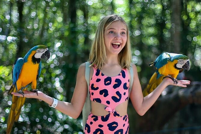 Akumal Monkey Sanctuary - Meeting the monkeys in a controlled setting