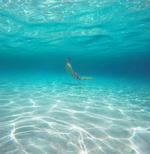 Akumal: Snorkel with Marine Fauna and an Expert Guide - Turtles, rays, fish, and coral under the surface