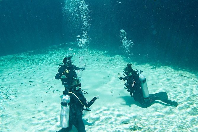 Amazing beginner dive in Tulum cenote (or refresher dive) - Starting at La Calypso Dive Center at 9:00 a.m.