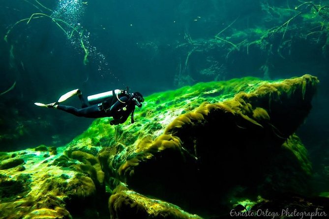 Amazing beginner dive in Tulum cenote (or refresher dive) - The value of the $140 price