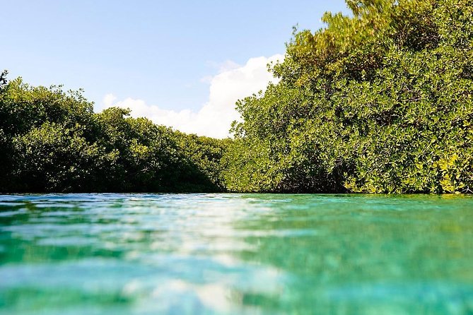 Amazing beginner dive in Tulum cenote (or refresher dive) - A realistic half-day schedule