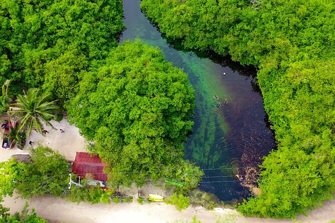 Amazing beginner dive in Tulum cenote (or refresher dive) - What this experience does not include