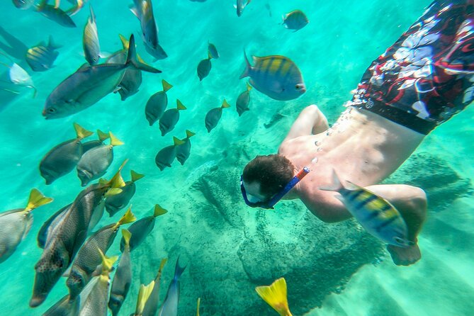 Arch Views & Snorkeling Paradise at Chileno Beach Private tour - Is $125 a fair price?