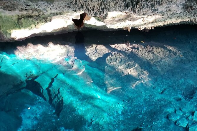 Archaeological Tour in Tulum and Coba with Kuxtal Cenote - Coba: jungle ruins and a slower sense of place