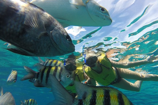 ATV Mud Kicking and Snorkeling by Boat in Cozumel - Lunch, drinks, and the beach-club finish