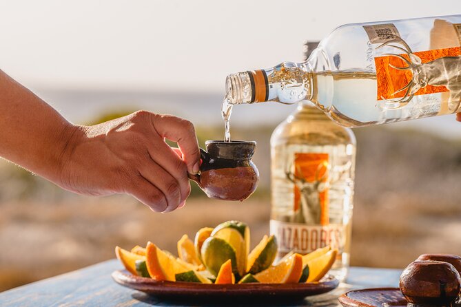 ATV Tour, Camel Ride, Tequila Tasting and Mexican Buffet Lunch - Five things to know before you book