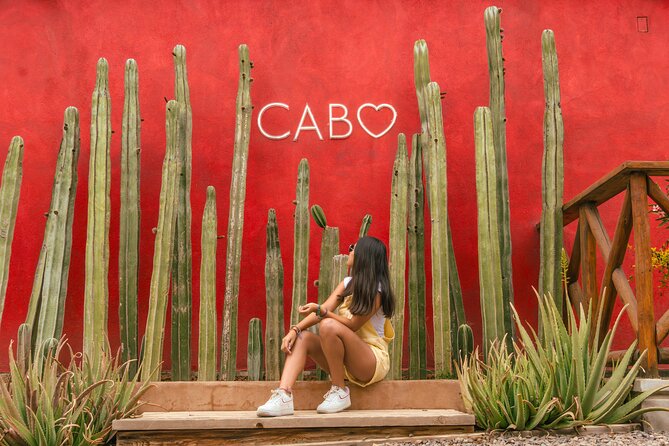 ATV Tour, Camel Ride, Tequila Tasting and Mexican Buffet Lunch - Tequila and mezcal with an ocean view