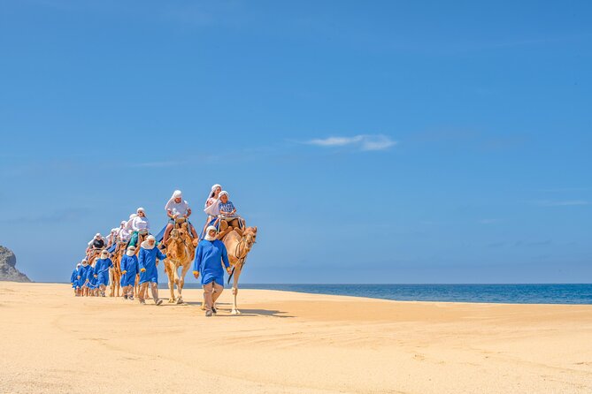 ATV Tour, Camel Ride, Tequila Tasting and Mexican Buffet Lunch - An unlimited Mexican buffet for lunch