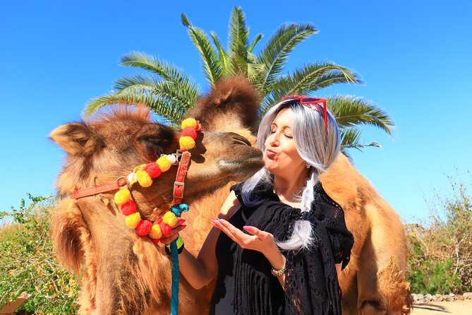 ATV Tour, Camel Ride, Tequila Tasting and Mexican Buffet Lunch - Group size, fitness, and who will enjoy it