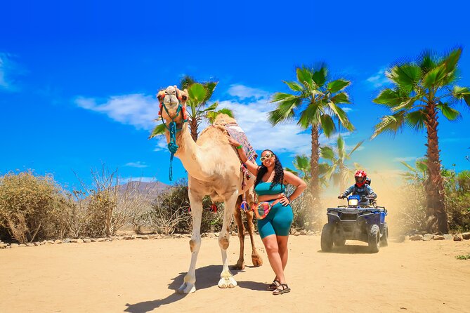 ATV Tour, Camel Ride, Tequila Tasting and Mexican Buffet Lunch - A beach camel ride beside the Sea of Cortes