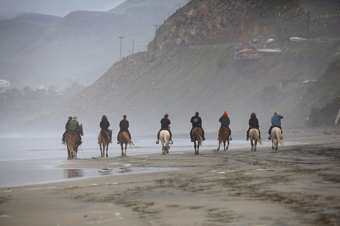 Authentic horseback riding in beautiful La Mision - Key Points Before You Saddle Up