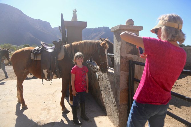 Authentic horseback riding in beautiful La Mision - Getting There From an Ensenada Cruise Ship