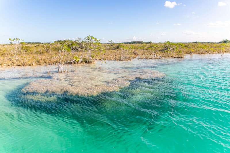 Bacalar: 3 Hour Boat Trip with Swimming & Drinks - Stromatolites, conservation, and what you are really seeing