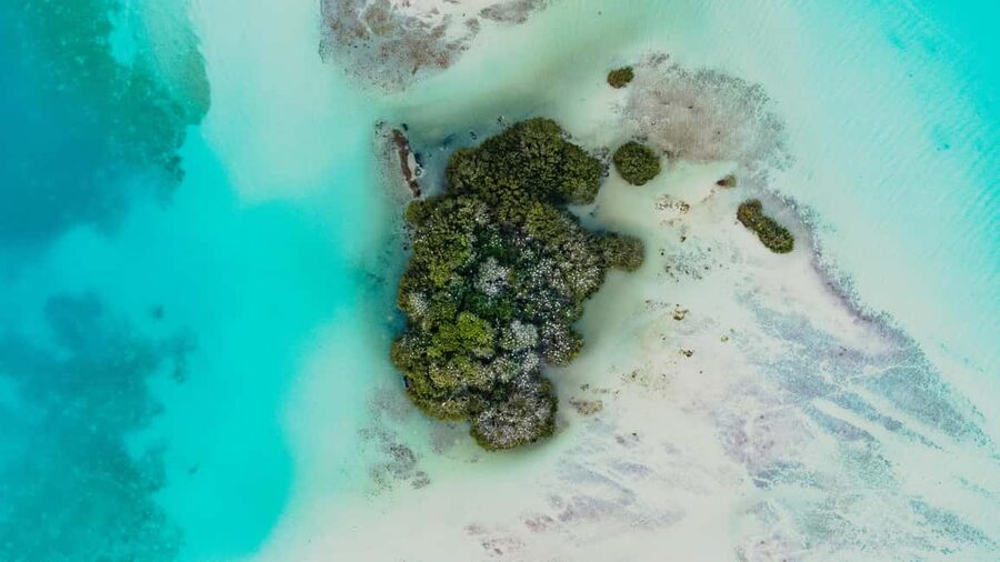 Bacalar Lagoon Sailing Tour with Open Bar and Mexican Lunch - What $78 gets you, and where the value lies