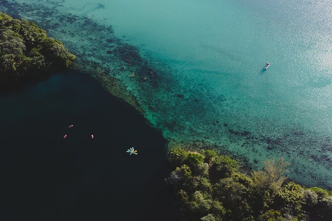 Bacalar Lagoon Sightseeing Boat Tour with Open Bar and Snacks - The guides make the difference