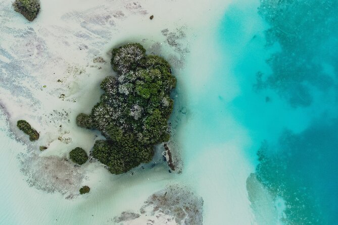 Bacalar Sunrise Stand Up Paddleboard Tour with Breakfast & Photos - GoPro photos are useful, not just a bonus