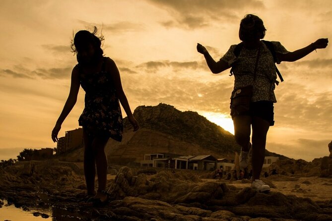 Balandra Beach & City Tour La Paz & Todo Santos hotel California - Van comfort and group size are real considerations