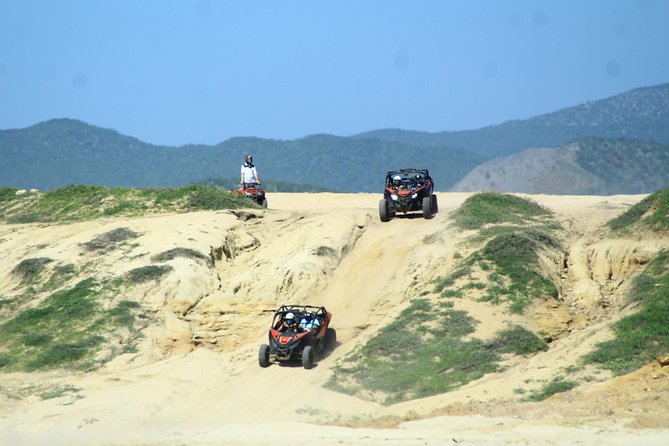 Beach and Desert Premium X3 UTV Tour in Cabo - Who will enjoy this outing most