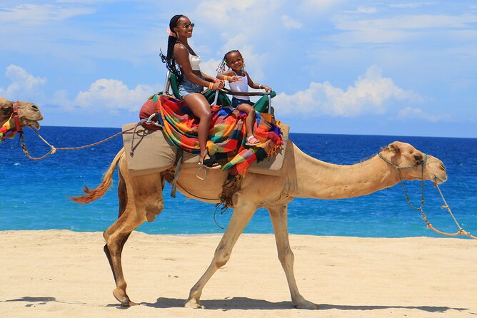 Beach, ATV, and Camel Ride Combo Tour - From Cabo hotels to the Migriño dunes