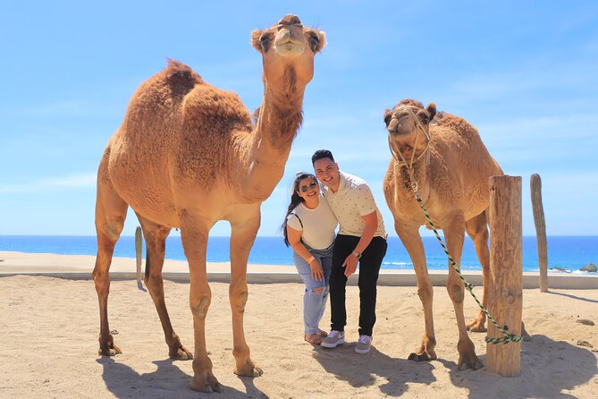 Beach, ATV, and Camel Ride Combo Tour - Check-in, safety gear, and the real start of the ride