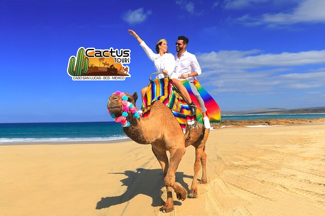 Beach Camel Ride and Encounter in Cabo - Arriving at Cactus Tours near Migrino Beach