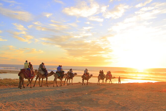 Beach Camel Ride and Encounter in Cabo - The real price, including the extra fee