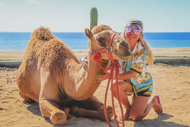 Beach Camel Ride and Encounter in Cabo - What kind of experience is this?