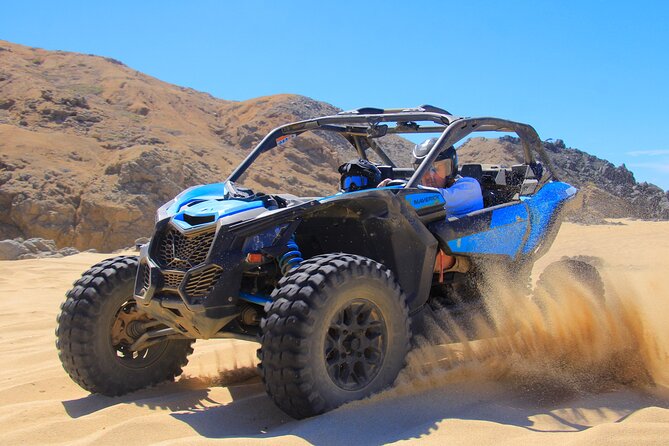 Beach Camel Ride and Sky Bike in Cabo - The real cost: $150 before optional extras
