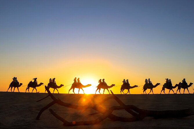 Beach CAN-AM SXS X3 and Camel Ride in Cabo - The Cabo adventure in one compact outing