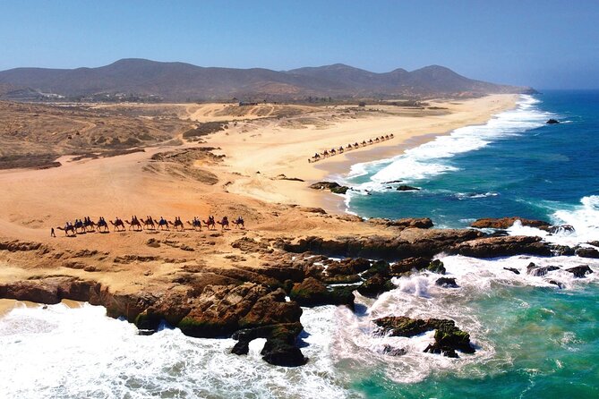 Beach CAN-AM SXS X3 and Camel Ride in Cabo - The camel encounter and beach ride