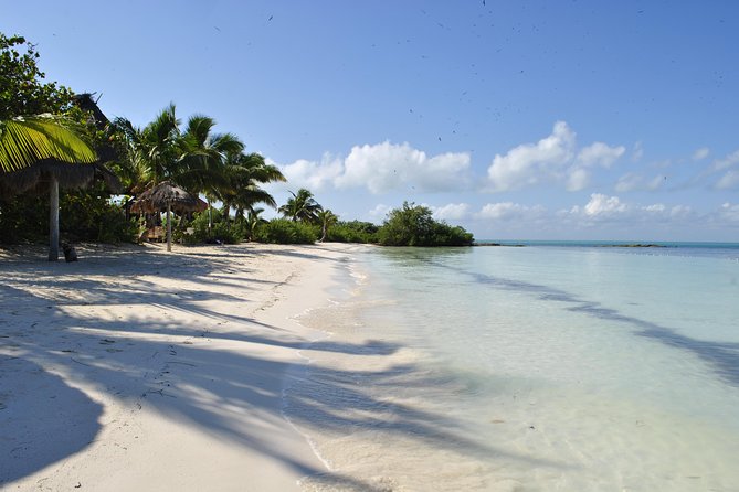 Beach Escape: Isla Contoy and Isla Mujeres with Snorkeling. - Snorkeling is enjoyable, but not the tour’s main strength