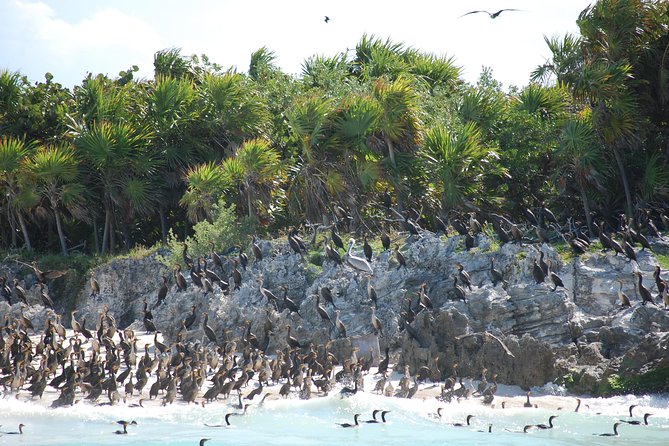 Beach Escape: Isla Contoy and Isla Mujeres with Snorkeling. - Guides and crew make a real difference
