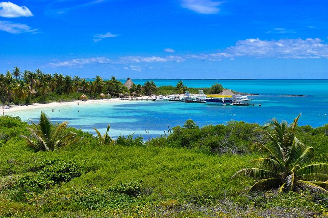 Beach Escape: Isla Contoy and Isla Mujeres with Snorkeling. - The early pickup shapes the whole day