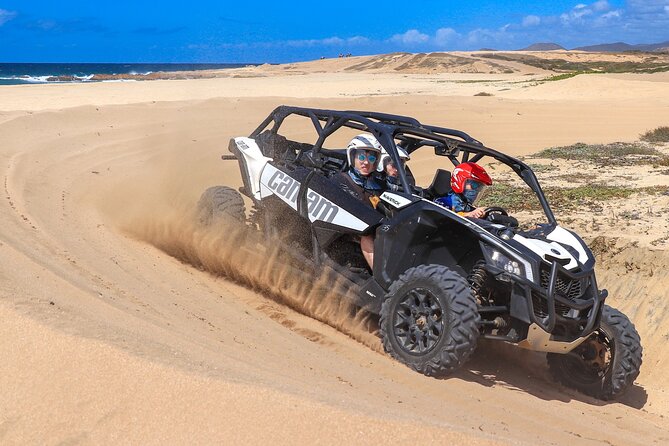 Beach UTV Adventure with Free Camel and Horseback Ride - Three Cabo rides in one compact outing