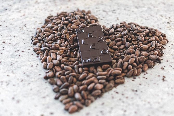 Bean to Bar Chocolate Workshop in Puerto Vallarta - Why families tend to like this activity