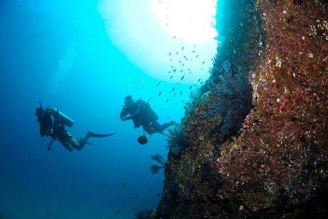 Beginner Scuba Diving in Cabo San Lucas - The five-minute boat trip to the site