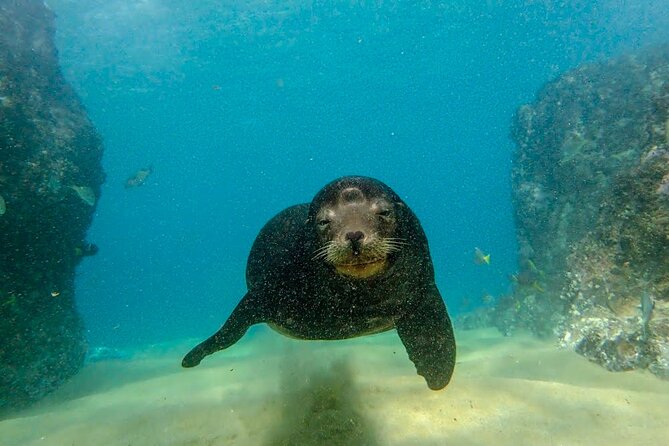 Beginner Scuba Diving in Cabo San Lucas - Seeing the Arch of Cabo San Lucas