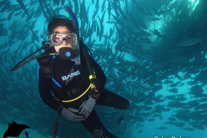 Beginner Scuba Diving in Cabo San Lucas - Choosing the optional second session