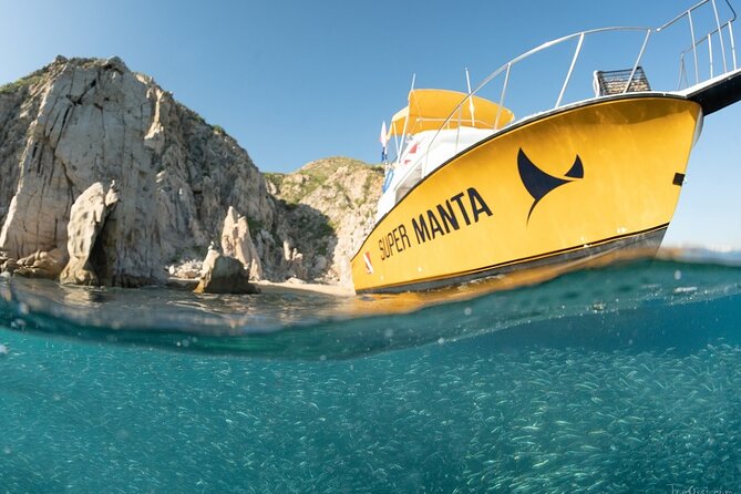 Beginner Scuba Diving in Cabo San Lucas - Safety, health, and the limits of a beginner session