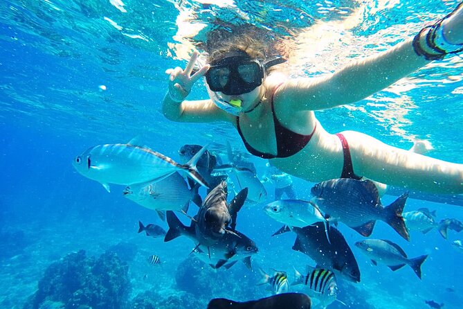 Best Cozumel Day Pass San Francisco Beach Club - Weather Is the Biggest Variable