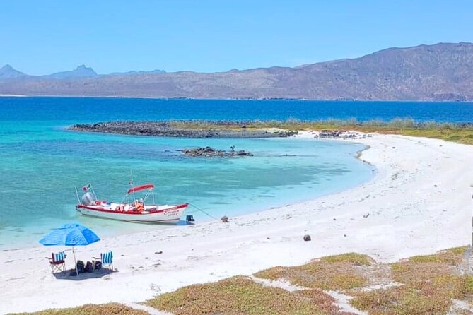 Best Tour to Coronados Island - Key points to know before you book