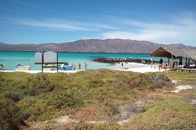 Best Tour to Coronados Island - Snorkeling at Coronado Island