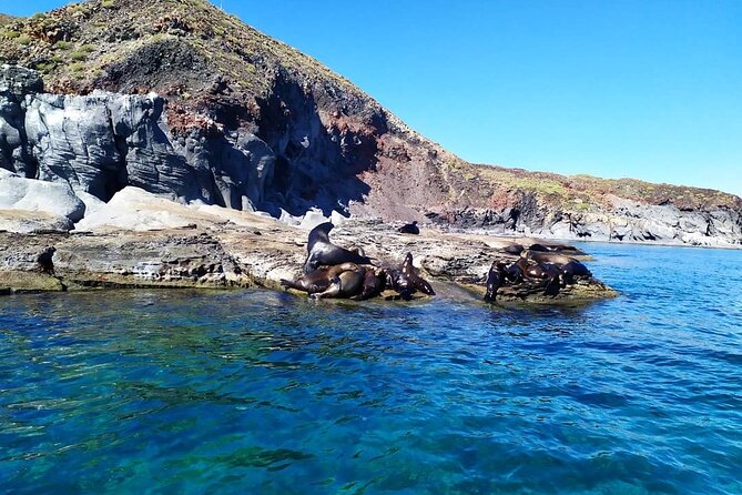 Best Tour to Coronados Island - How the guides shape the experience