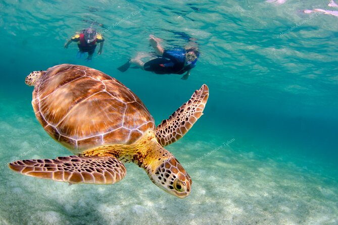Bestseller! Tulum Private Tour with Turtles and Cenote Snorkeling - The private van and personal pace