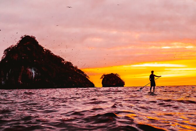 Bioluminescence by kayak or SUP to Los Arcos Puerto Vallarta - Los Arcos Marine Park, caves, birds, and open water