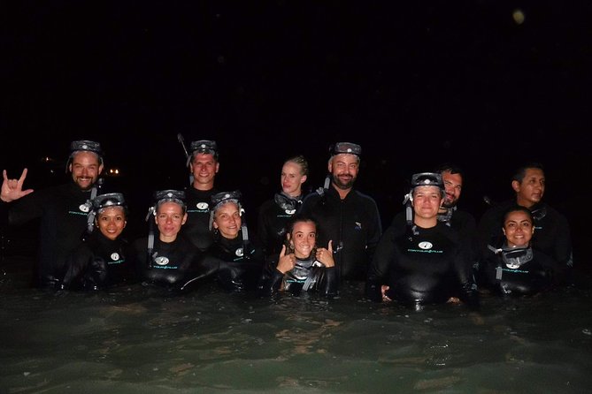 Bioluminescence Experience in Holbox - Pickup, equipment, and the late-night start