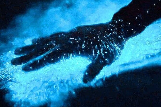 Bioluminescence & sunset local boat tour to Los Arcos Sanctuary - Key points before you book