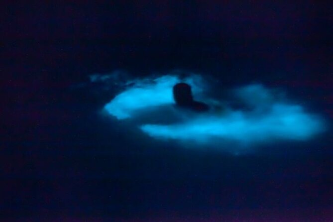 Bioluminescence & sunset local boat tour to Los Arcos Sanctuary - Learning the story of Los Arcos Marine Park